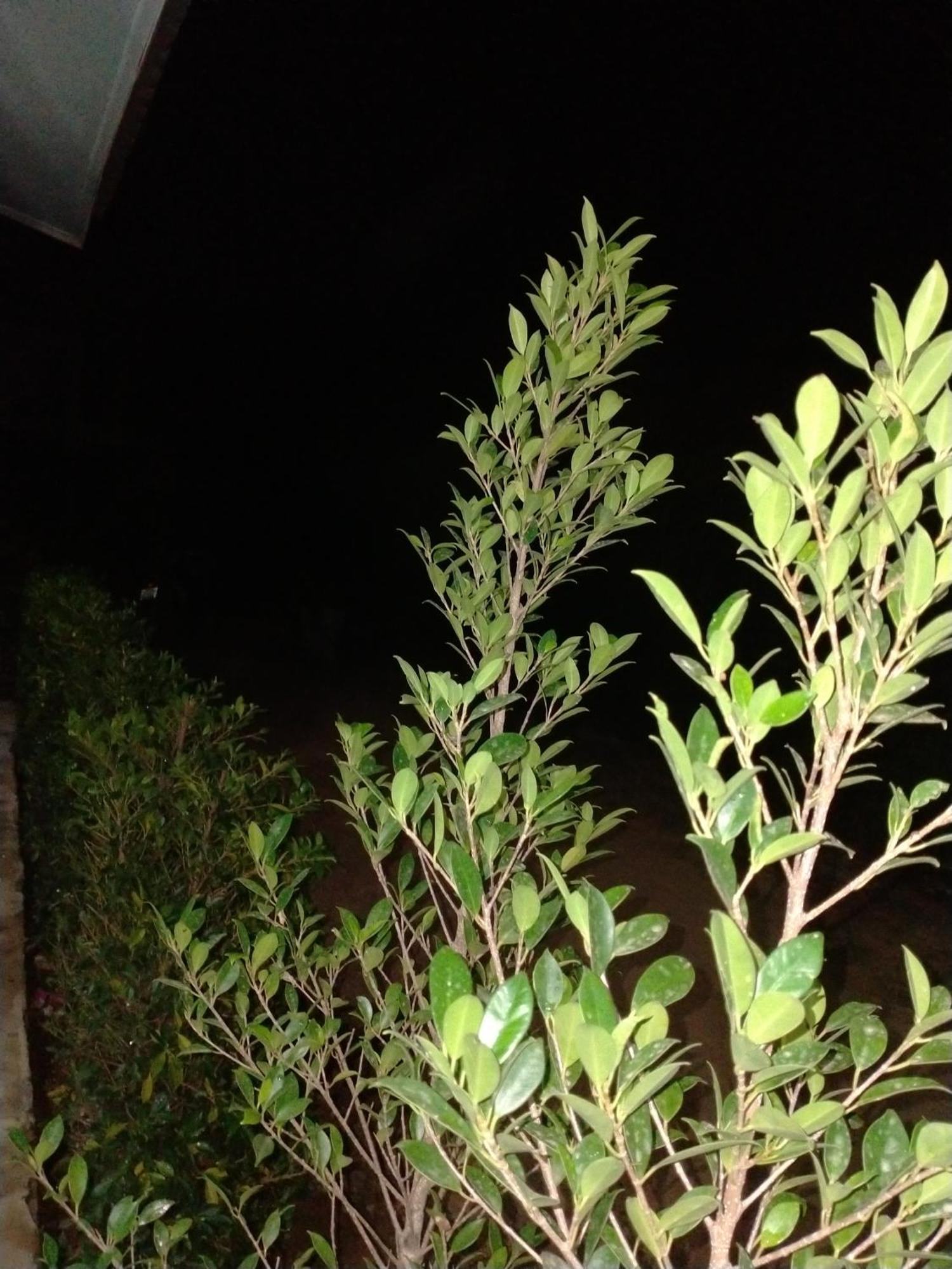 Lanta Rabbit Rooms Ko Lanta Rom bilde